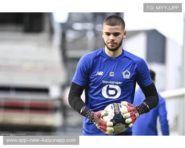 法甲联盟新政策如何影响球队引援战略,法甲联赛外援规则